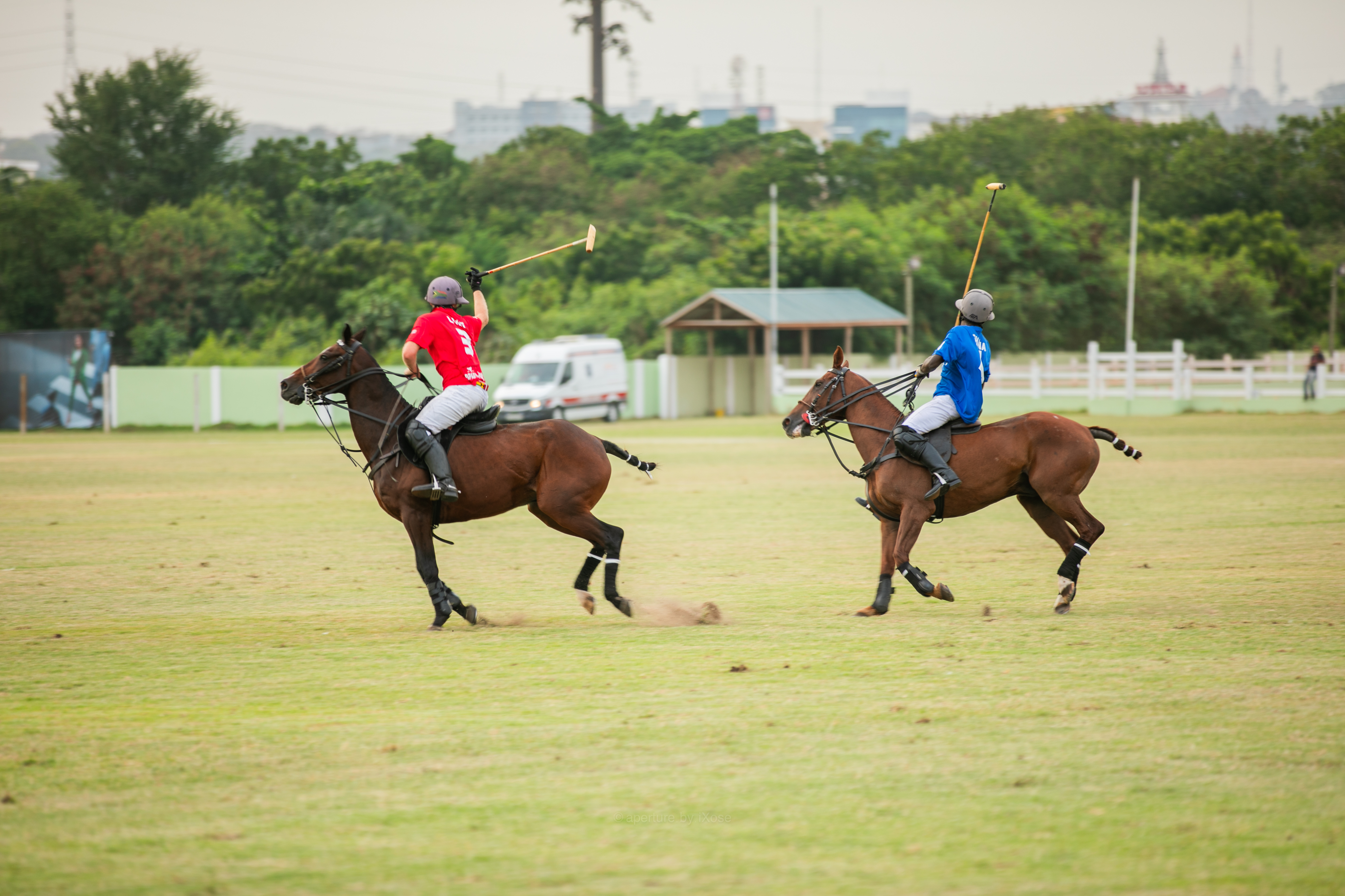 Polo matches in action